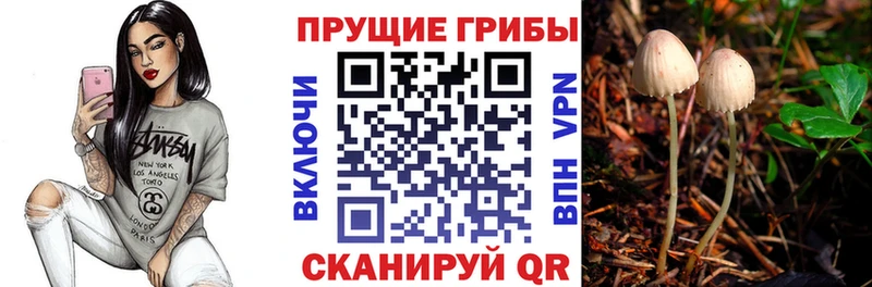 хочу   Кушва  Псилоцибиновые грибы мицелий 