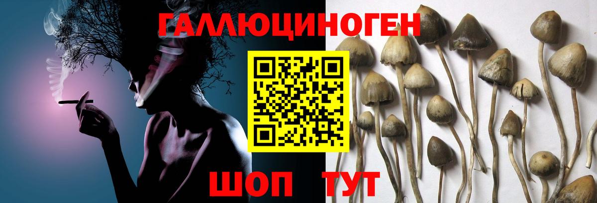 Псилоцибиновые грибы Cubensis  Галлюциногенные грибы ЛСД  Вход с VPN  Кушва 